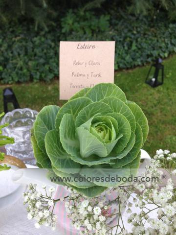 7-colores-de-boda-seating-teteras-cactus-flores-995