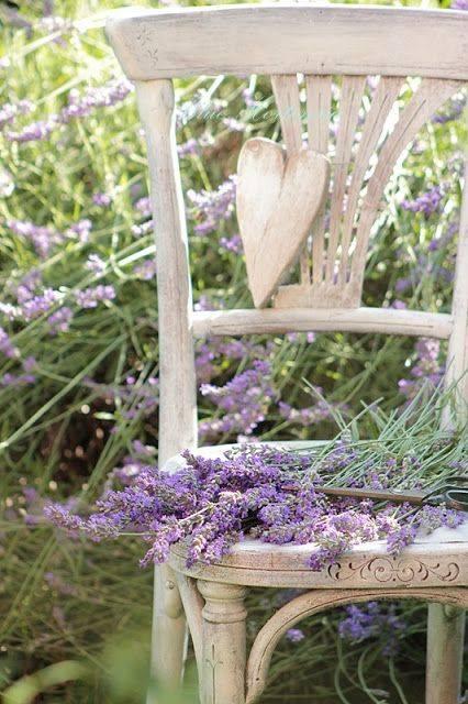 silla madera y lavandas