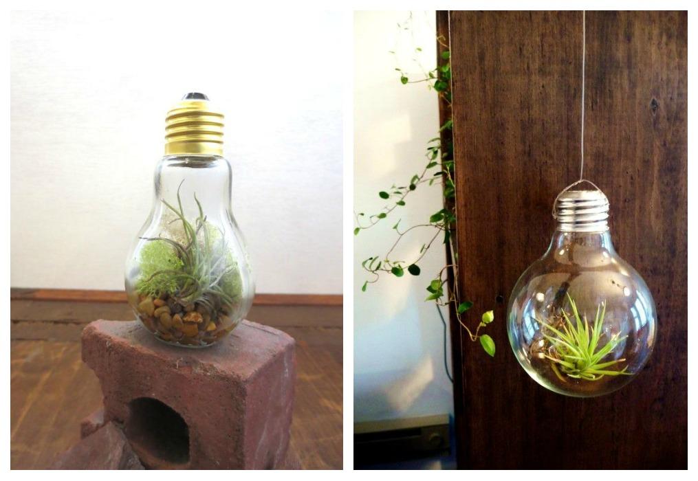 02-terrarios-bombillas