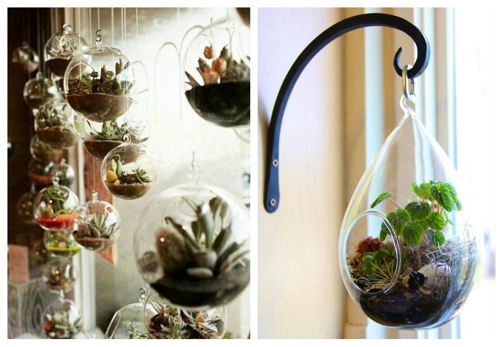 06-terrarios-colgantes