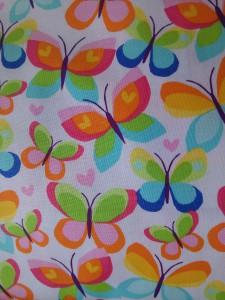 Mariposas Multicolor