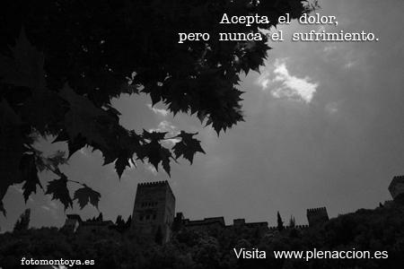 Foto-Emoción-Mindfulness-33 Alhambra 13