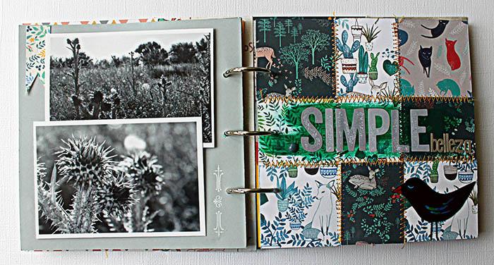 Album Bog Hop la mas bonita by Lady desidia Kit de somni