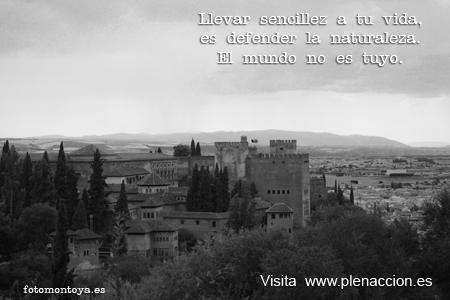Foto-Emoción-Mindfulness-34 Alhambra 14