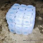 Cómo realizar una lámpara reciclando 45 botellas de plástico pequeñas - Lamp made out of 45 recycled plastic bottles Reciclado Creativo Rosa Montesa