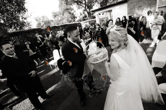 suelta_de_mariposas_boda_36