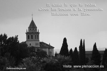 Foto-Emoción-Mindfulness-37 Alhambra 17