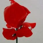 Cómo hacer flores rojas tipo orquídeas reciclando una botella de plástico - How to make red flowers like orchids recycling a plastic bottle http://youtu.be/o9ZJGZDIp3g