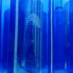 Reciclado Creativo - The Creative Reuse Factory - plastic bottles - botellas de plástico Solán de Cabras