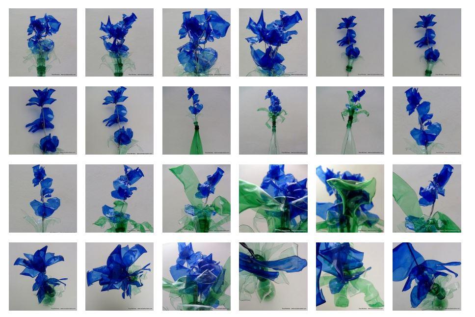 Blaue Blumen - Flores azules - Blue Flowers