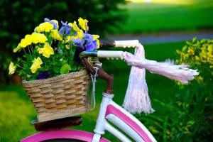 flores_bicicleta