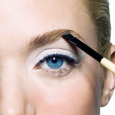 263822_10151239330400539_3816147_n