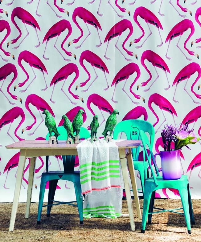 hc_abc_gypsy_026-065-galapagos_lores-581