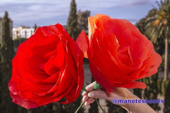 rosas de papel pinocho