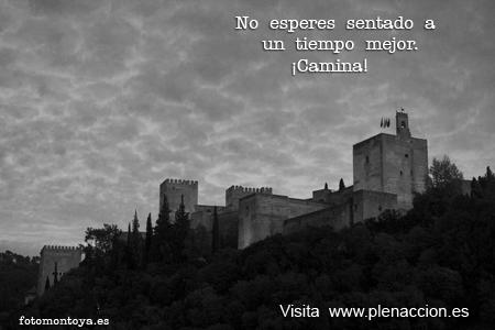 Foto-Emoción-Mindfulness-43 Alhambra 23