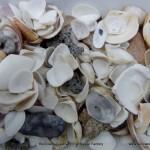 el collar más bonito del mundo, de un hijo a su madre. Reciclado Creativo, Rosa Montesa