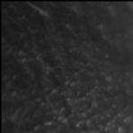 Mula Fest y las tendencias modernas urbanas