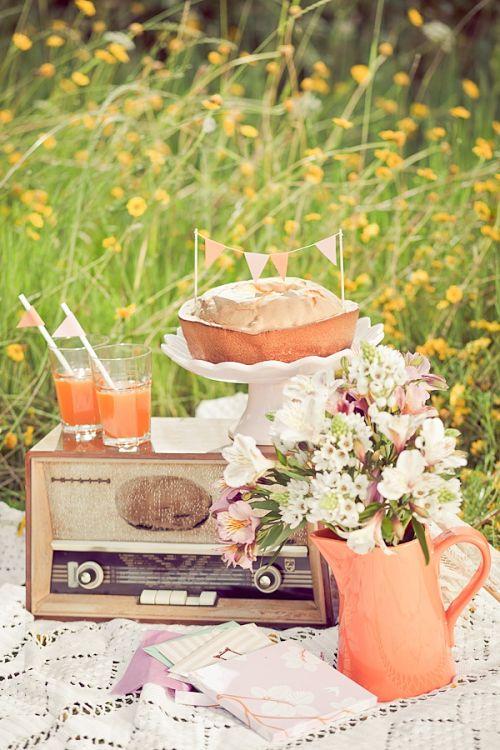 picnic_disfrutar_exterior_merienda_blog_ana_pla_interiorismo_diseño_4