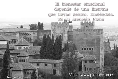 Foto-Emoción-Mindfulness-50 Alhambra30