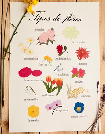 flores_regalos para mama_maowdesign