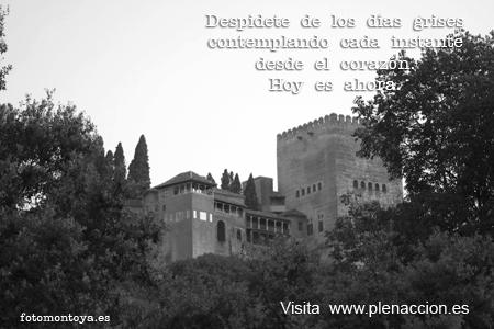Foto-Emoción-Mindfulness-52 Alhambra 32
