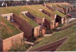 Adosados con techo verde