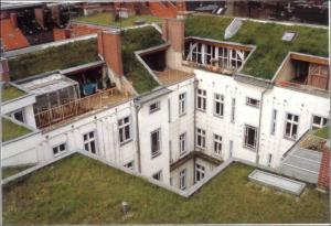 Pisos con techos verdes.