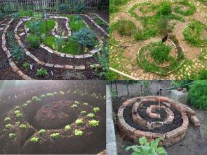 Aromáticas y medicinales