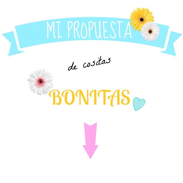 mi propuesta