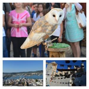 collage_20140510134316051_20140510134514353