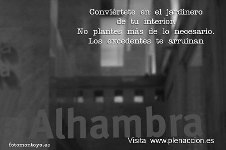 Foto-Emoción-Mindfulness-60 Alhambra 40