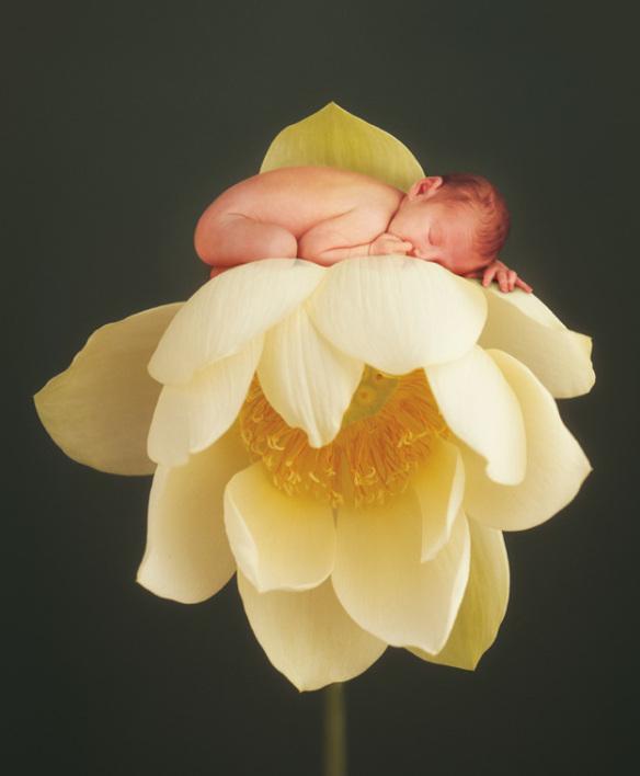 8804989a65d644a27e249e4251cdf489