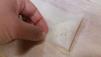 Triángulos o pañuelos de pasta brick