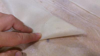 Triángulos o pañuelos de pasta brick