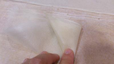 Triángulos o pañuelos de pasta brick