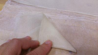 Triángulos o pañuelos de pasta brick