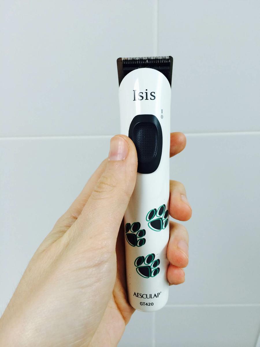 clínica veterinaria