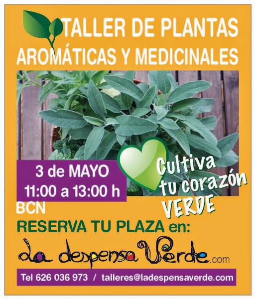 Taller de plantas aromaticas