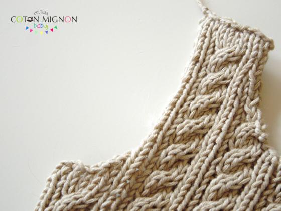 Disminuciones en la sisa culturacotonmignon