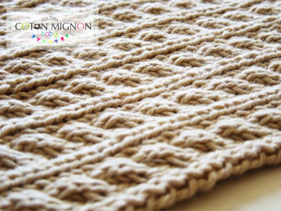 Puntos de Trenzas culturacotonmignon