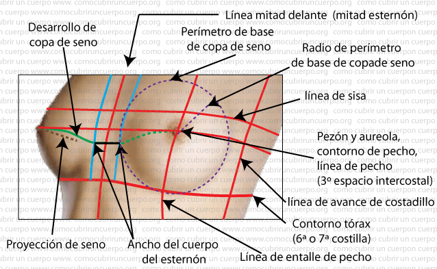 la-mama-y-el-tórax_07