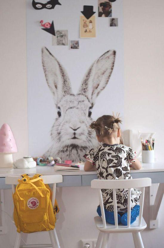 Bunny wallpaper in k