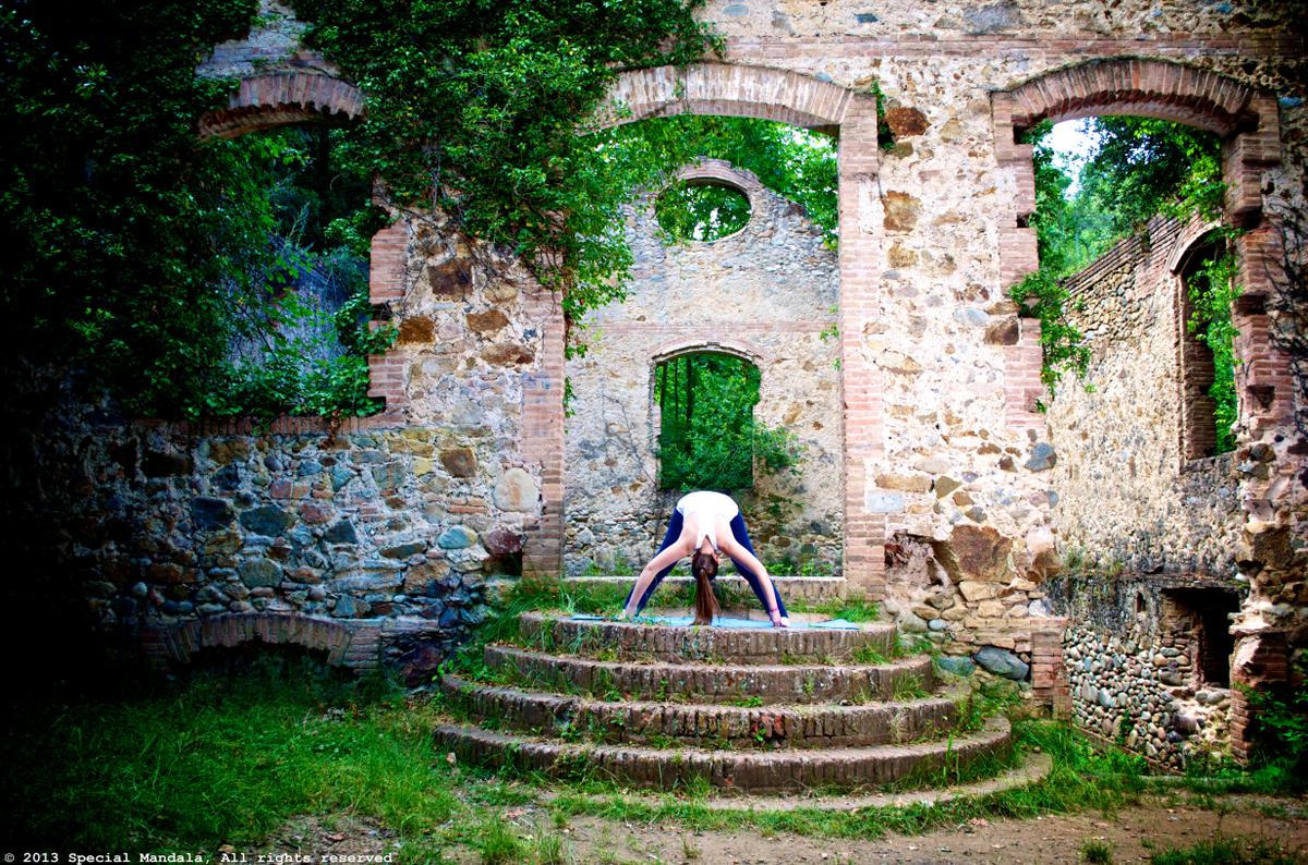 PRASARITA PADOTTANASANA D