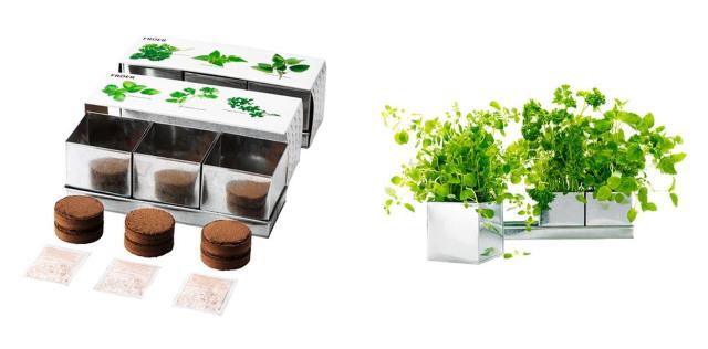hierbas aromaticas ikea