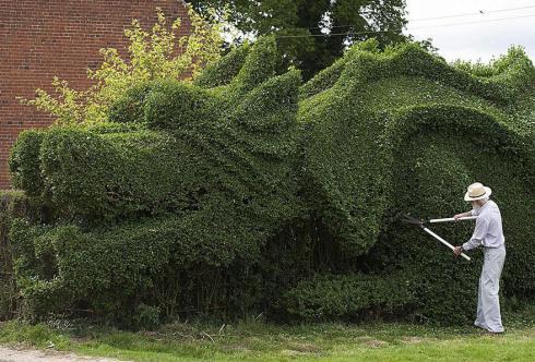 dragon-shaped-hedge-topiary-john-brooker-1