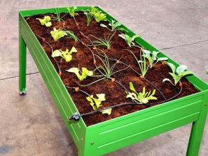 riego por goteo mesas de cultivo