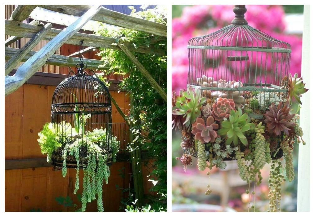 05-diy-plantas-colgantes-jaulas