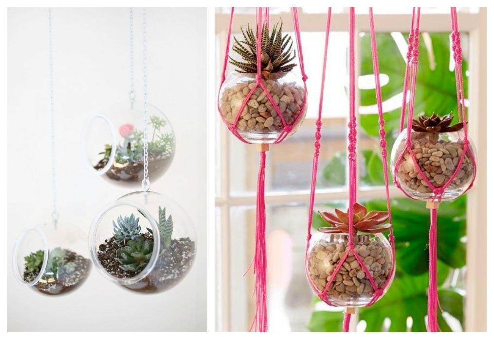 07-diy-plantas-colgantes-peceras