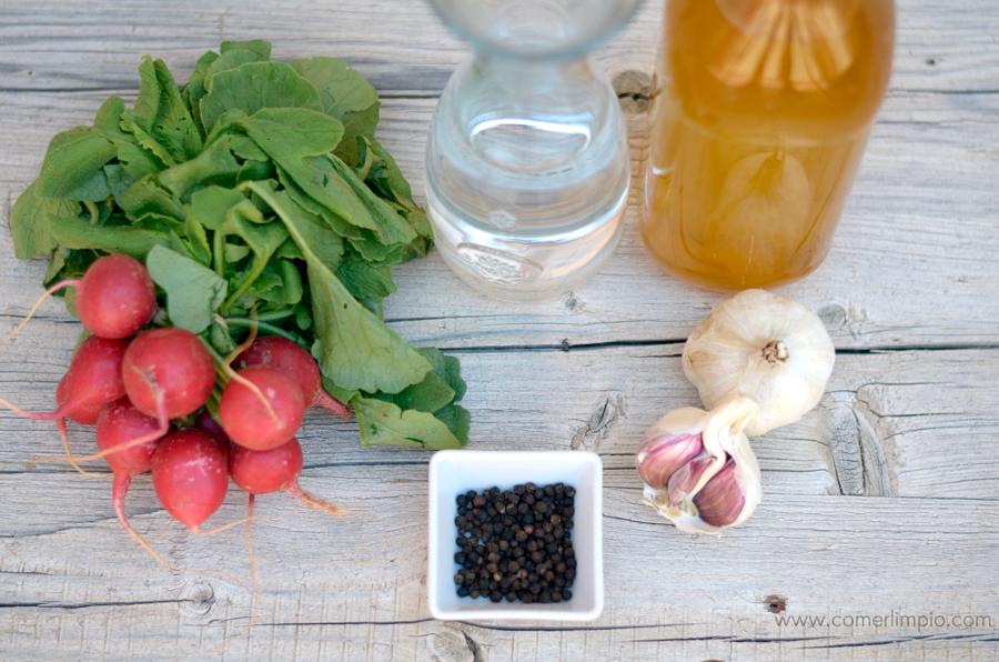 rábanos-en-conserva