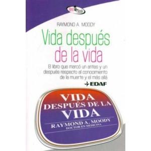 vida despues de la vida 